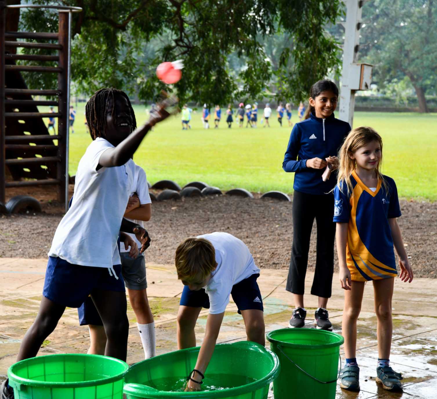 Transdisciplinary Curriculum