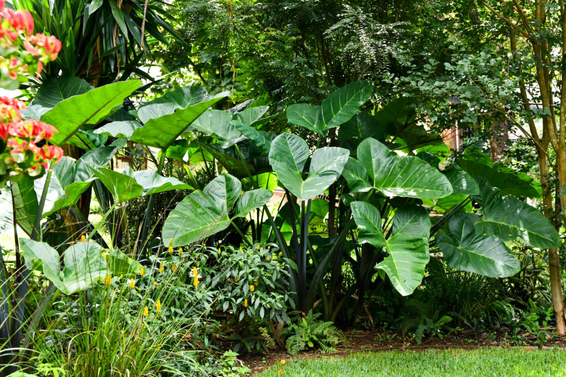 Inquiry-led gardens