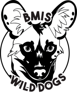 Sports at BMIS logo